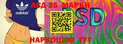 стаф Новозыбков