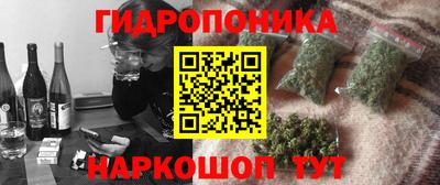 стаф Новозыбков