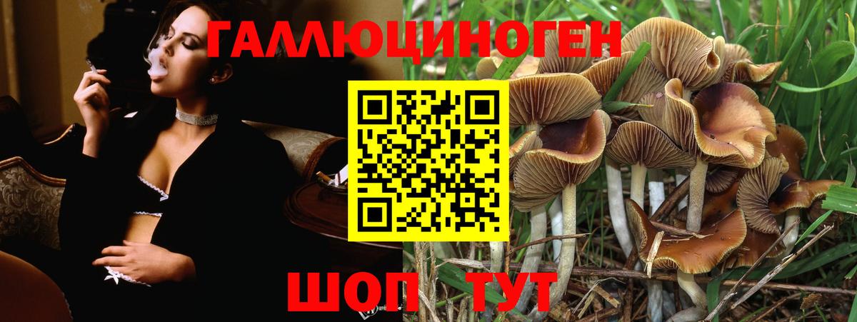 Галлюциногенные грибы мухоморы Рассказово