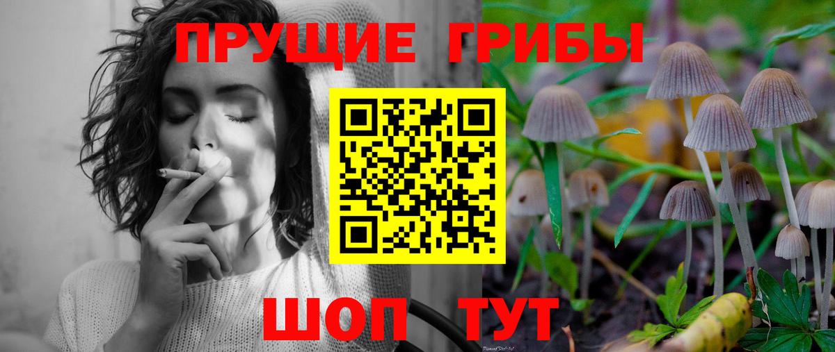 Рассказово  Псилоцибиновые грибы Psilocybine cubensis  Вход с VPN  Галлюциногенные грибы Magic Shrooms 